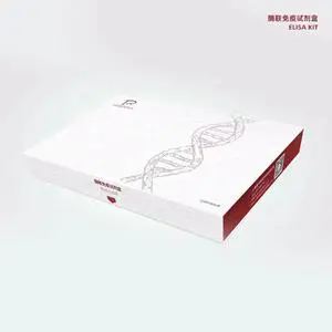 人（Human）抗AKAP4抗體（Anti-AKAP4 Ab）ELISA檢測試劑盒