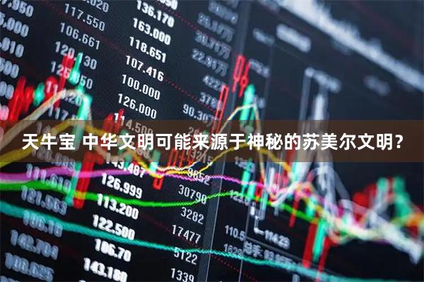 天牛宝 中华文明可能来源于神秘的苏美尔文明？