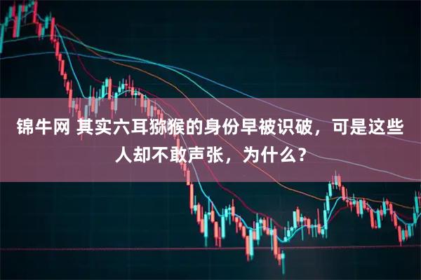 锦牛网 其实六耳猕猴的身份早被识破，可是这些人却不敢声张，为什么？