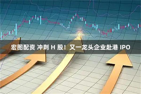 宏图配资 冲刺 H 股！又一龙头企业赴港 IPO
