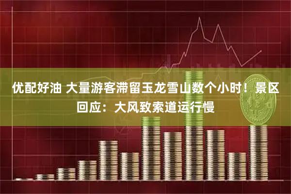 优配好油 大量游客滞留玉龙雪山数个小时！景区回应：大风致索道运行慢