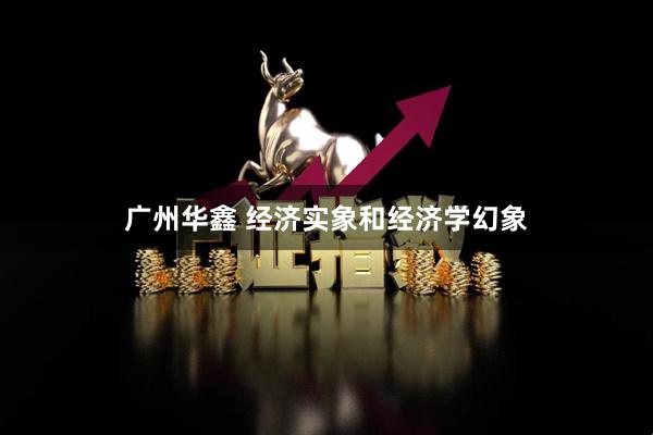 广州华鑫 经济实象和经济学幻象