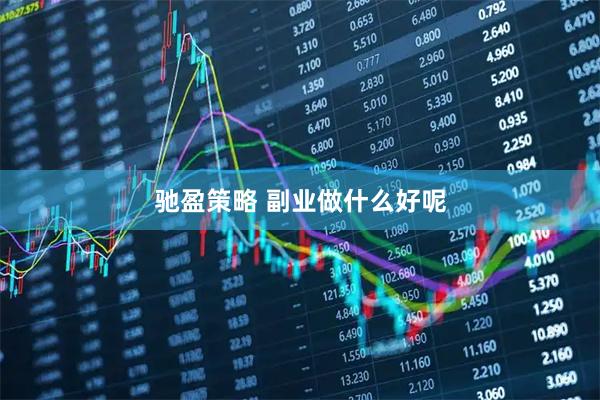 驰盈策略 副业做什么好呢