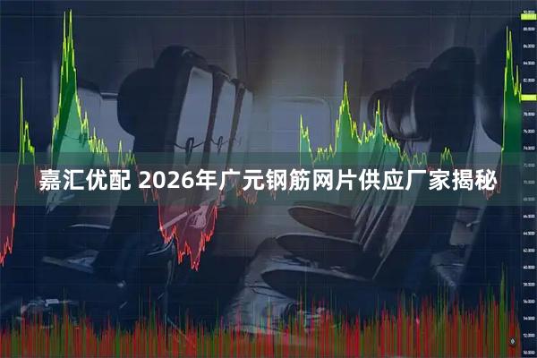 嘉汇优配 2026年广元钢筋网片供应厂家揭秘