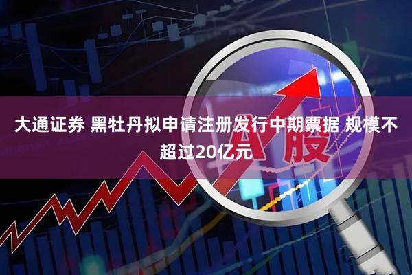 大通证券 黑牡丹拟申请注册发行中期票据 规模不超过20亿元