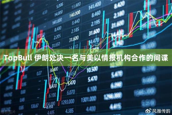 TopBull 伊朗处决一名与美以情报机构合作的间谍