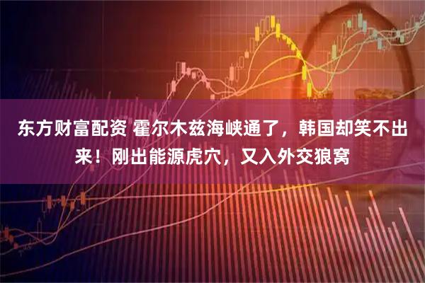 东方财富配资 霍尔木兹海峡通了，韩国却笑不出来！刚出能源虎穴，又入外交狼窝
